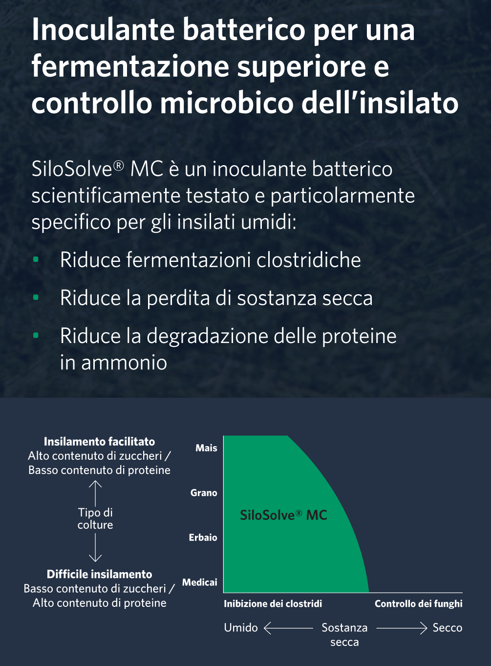 Schema Silosolve MC